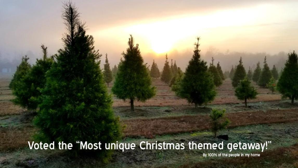 Rural Life On A Real Christmas Tree Farm! Hallmark Experience! Ozark Εξωτερικό φωτογραφία