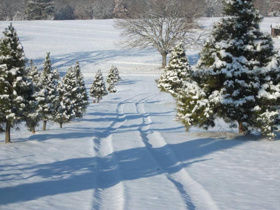 Rural Life On A Real Christmas Tree Farm! Hallmark Experience! Ozark Εξωτερικό φωτογραφία